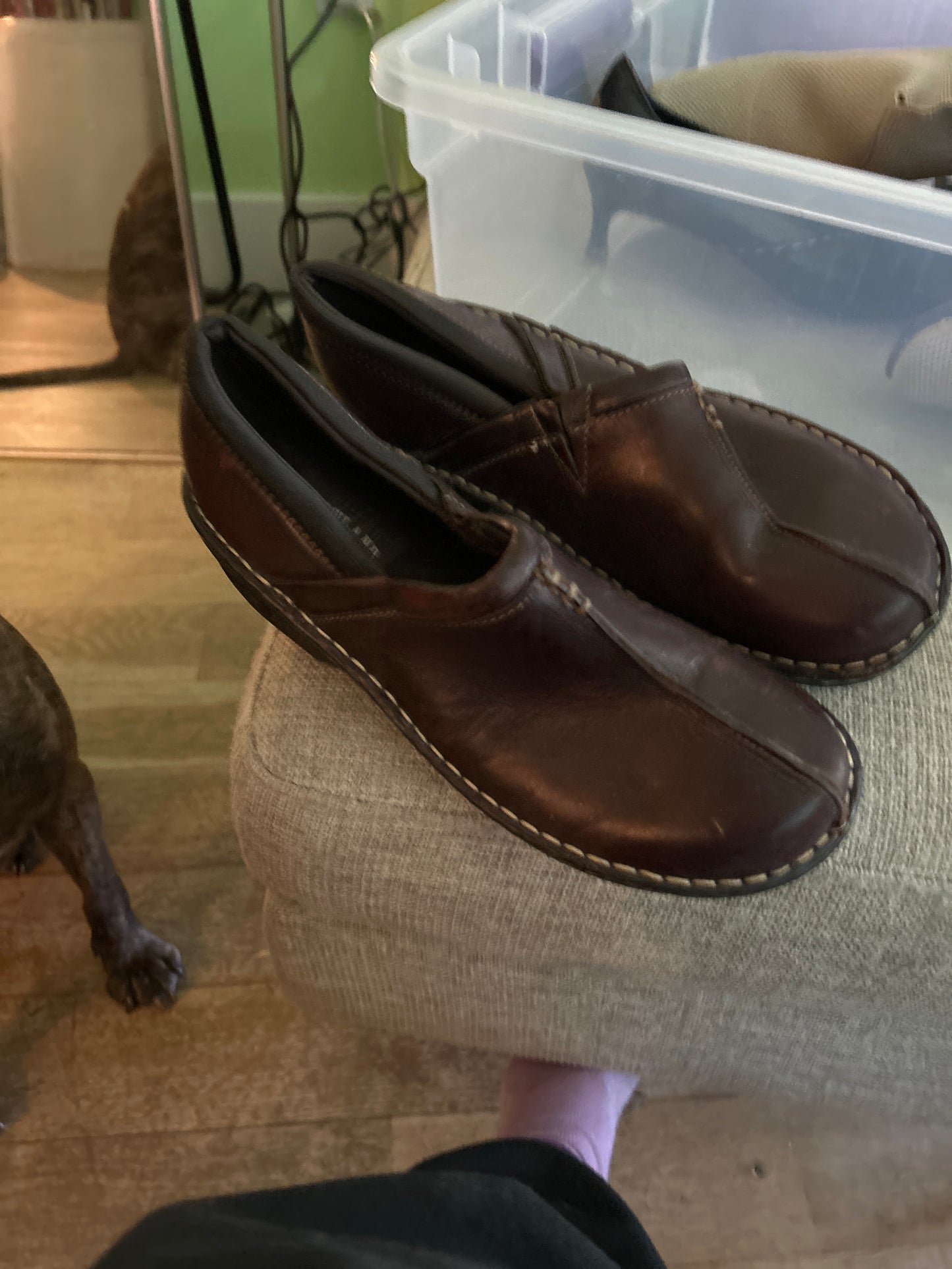 STREET RAT eastland brown clog