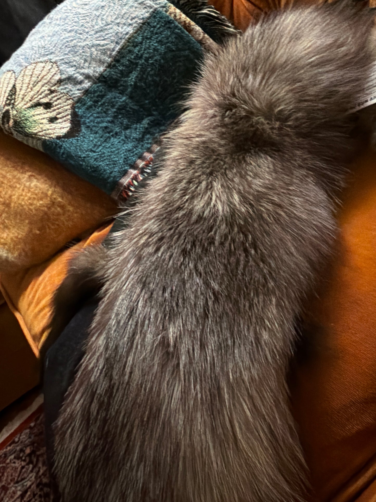 Silver fox L scarf JM 34