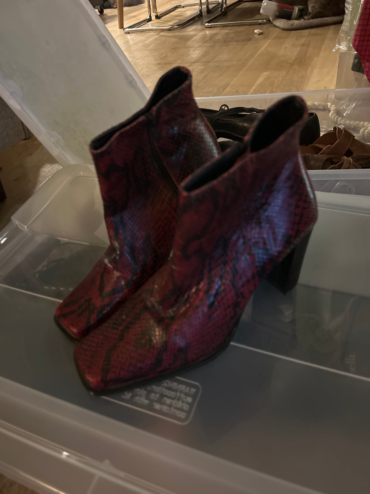 STREET RAT - red snakeskin