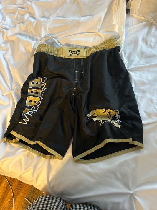 Wrestling shorts