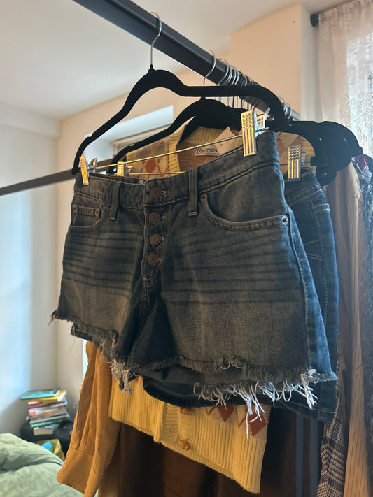 Lucky brand denim cut offs