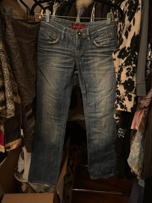 Zhunvhai low rise embroidered jeans