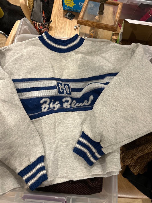 Go big blue sweatshirt