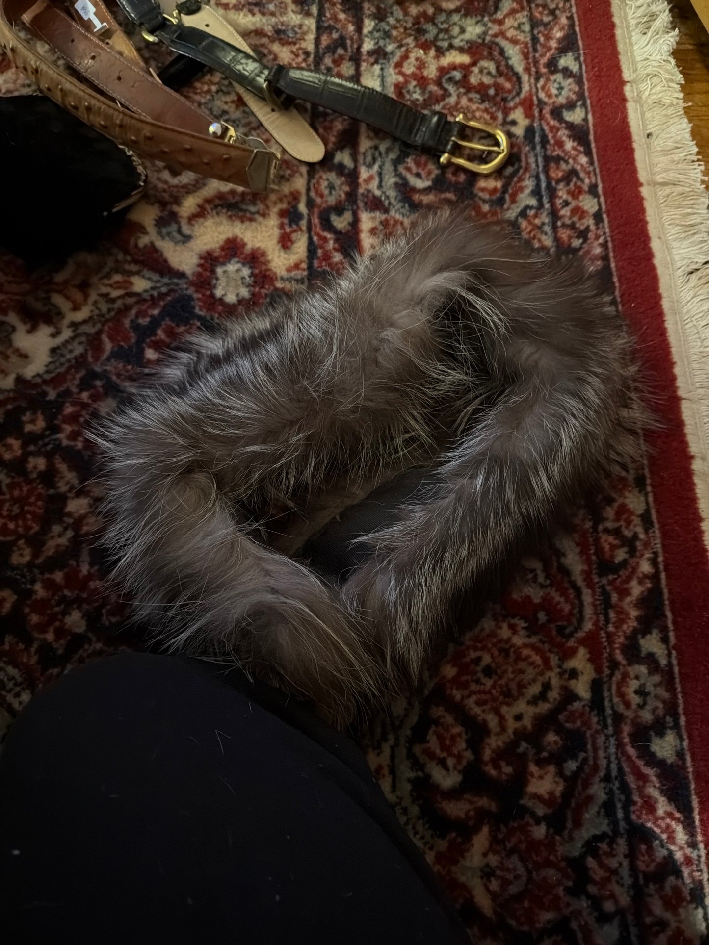 Brown/white fox fur neck wrap JM 78