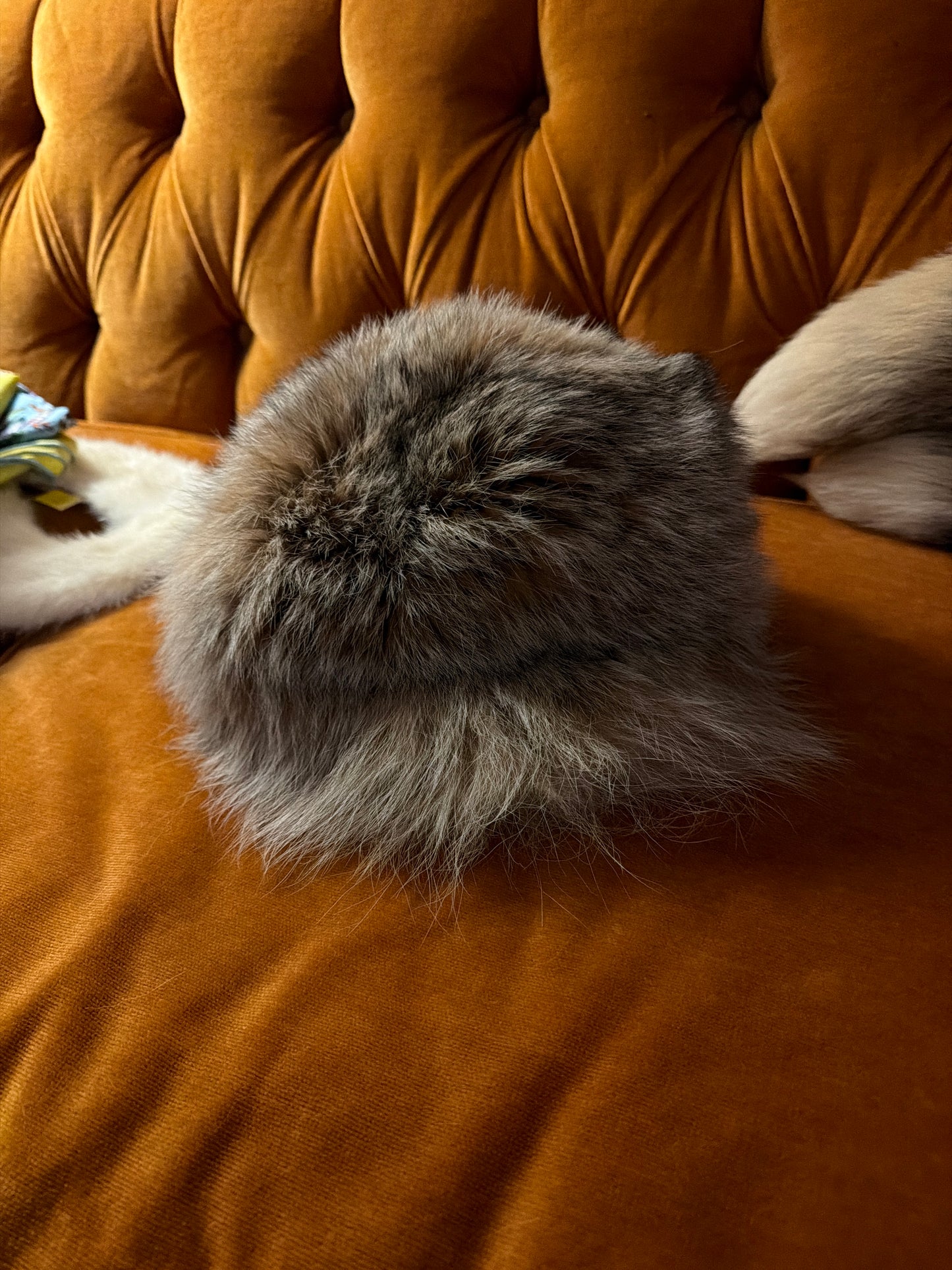 Lynx fur hat JM 36
