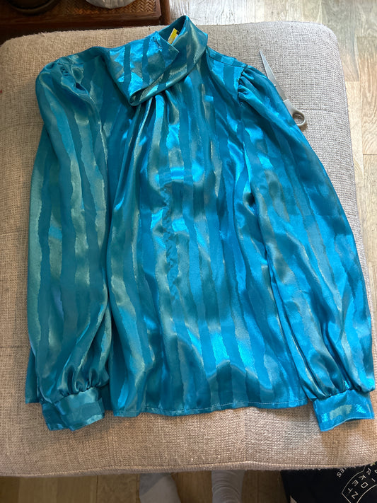 Blue shiny blouse